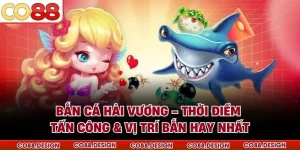 Bắn Cá Hải Vương - Thời Điểm Tấn Công & Vị Trí Bắn Hay Nhất