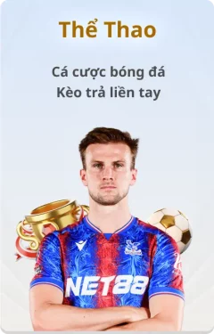 Thể thao Co88 bóng đá